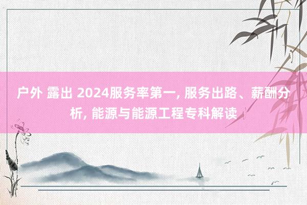 户外 露出 2024服务率第一， 服务出路、薪酬分析， 能源与能源工程专科解读