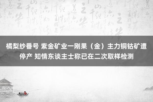 橘梨纱番号 紫金矿业一刚果（金）主力铜钴矿遭停产 知情东谈主士称已在二次取样检测