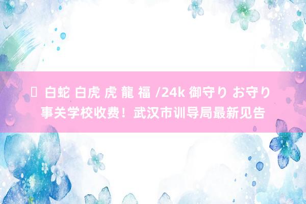 ✨白蛇 白虎 虎 龍 福 /24k 御守り お守り 事关学校收费！武汉市训导局最新见告