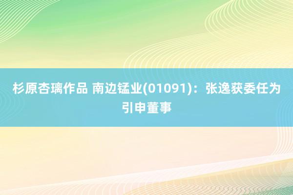 杉原杏璃作品 南边锰业(01091)：张逸获委任为引申董事