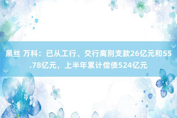 黑丝 万科：已从工行、交行离别支款26亿元和55.78亿元，上半年累计偿债524亿元