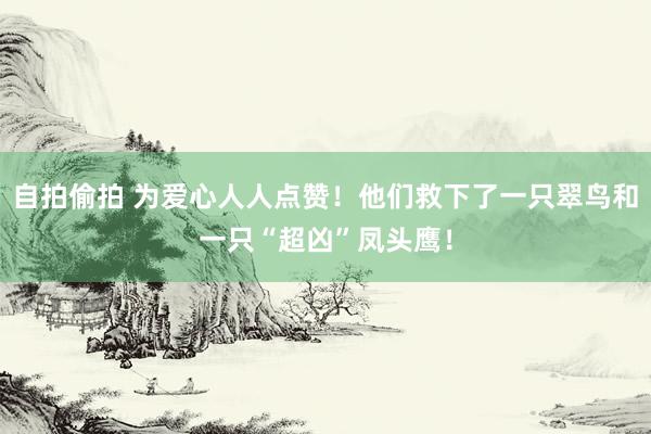 自拍偷拍 为爱心人人点赞！他们救下了一只翠鸟和一只“超凶”凤头鹰！