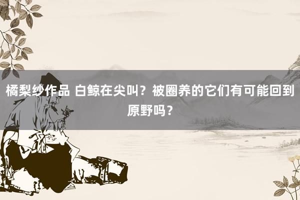 橘梨纱作品 白鲸在尖叫？被圈养的它们有可能回到原野吗？