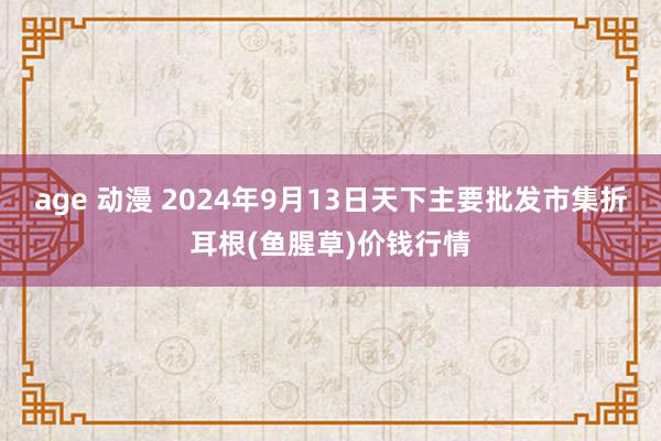 age 动漫 2024年9月13日天下主要批发市集折耳根(鱼腥草)价钱行情