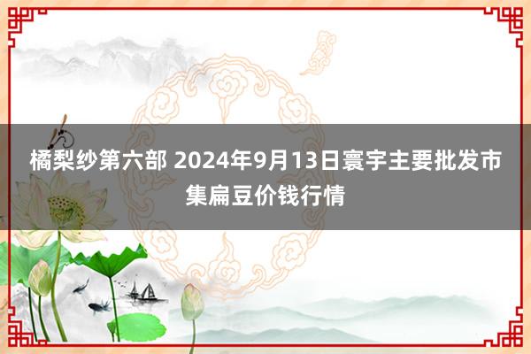 橘梨纱第六部 2024年9月13日寰宇主要批发市集扁豆价钱行情