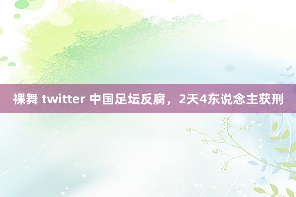 裸舞 twitter 中国足坛反腐，2天4东说念主获刑