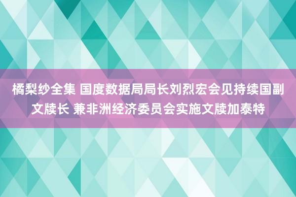 橘梨纱全集 国度数据局局长刘烈宏会见持续国副文牍长 兼非洲经济委员会实施文牍加泰特