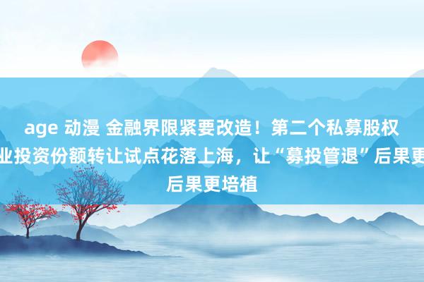 age 动漫 金融界限紧要改造！第二个私募股权和创业投资份额转让试点花落上海，让“募投管退”后果更培植