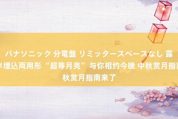 パナソニック 分電盤 リミッタースペースなし 露出・半埋込両用形 “超等月亮” 与你相约今晚 中秋赏月指南来了