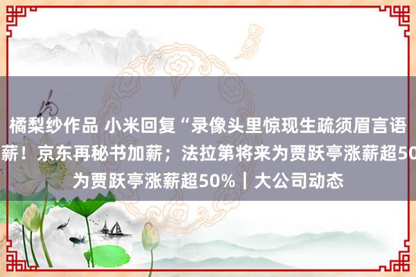 橘梨纱作品 小米回复“录像头里惊现生疏须眉言语”；两年达成20薪！京东再秘书加薪；法拉第将来为贾跃亭涨薪超50%｜大公司动态