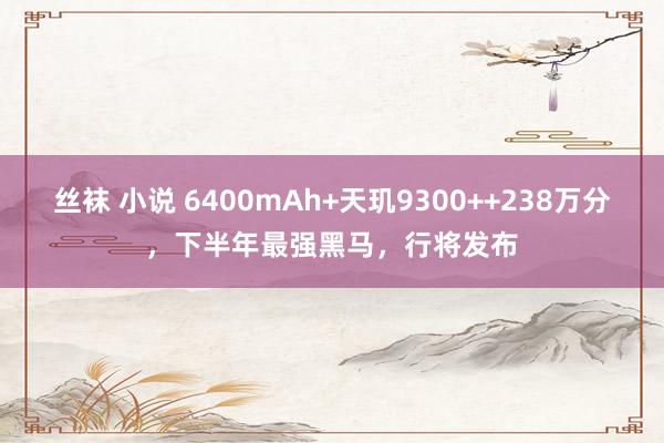 丝袜 小说 6400mAh+天玑9300++238万分，下半年最强黑马，行将发布