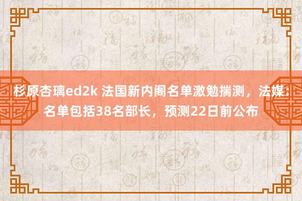 杉原杏璃ed2k 法国新内阁名单激勉揣测，法媒：名单包括38名部长，预测22日前公布