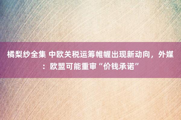 橘梨纱全集 中欧关税运筹帷幄出现新动向，外媒：欧盟可能重审“价钱承诺”