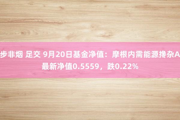 步非烟 足交 9月20日基金净值：摩根内需能源搀杂A最新净值0.5559，跌0.22%