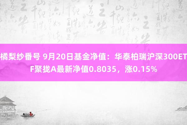 橘梨纱番号 9月20日基金净值：华泰柏瑞沪深300ETF聚拢A最新净值0.8035，涨0.15%