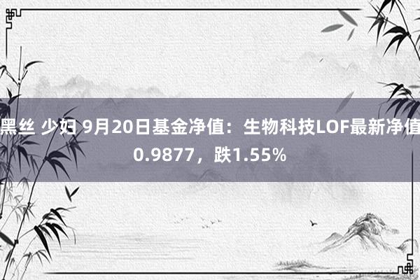 黑丝 少妇 9月20日基金净值：生物科技LOF最新净值0.9877，跌1.55%