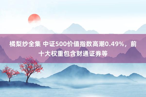 橘梨纱全集 中证500价值指数高潮0.49%，前十大权重包含财通证券等