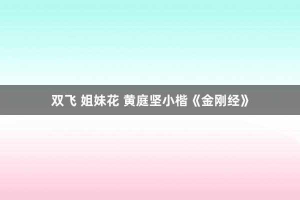 双飞 姐妹花 黄庭坚小楷《金刚经》