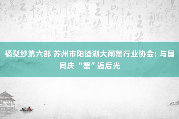 橘梨纱第六部 苏州市阳澄湖大闸蟹行业协会: 与国同庆 “蟹”逅后光