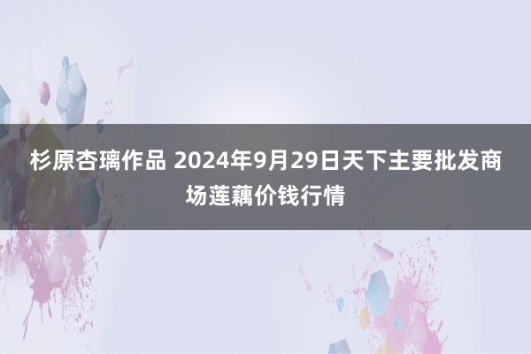 杉原杏璃作品 2024年9月29日天下主要批发商场莲藕价钱行情