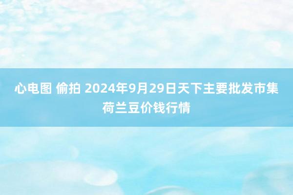 心电图 偷拍 2024年9月29日天下主要批发市集荷兰豆价钱行情