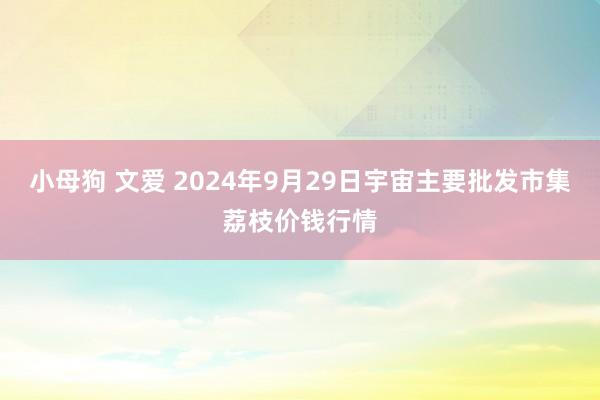 小母狗 文爱 2024年9月29日宇宙主要批发市集荔枝价钱行情