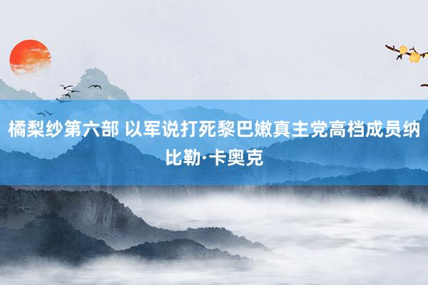 橘梨纱第六部 以军说打死黎巴嫩真主党高档成员纳比勒·卡奥克