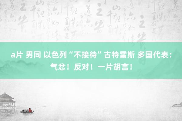 a片 男同 以色列“不接待”古特雷斯 多国代表：气忿！反对！一片胡言！