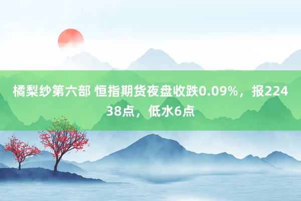 橘梨纱第六部 恒指期货夜盘收跌0.09%，报22438点，低水6点