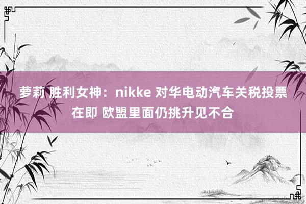 萝莉 胜利女神：nikke 对华电动汽车关税投票在即 欧盟里面仍挑升见不合