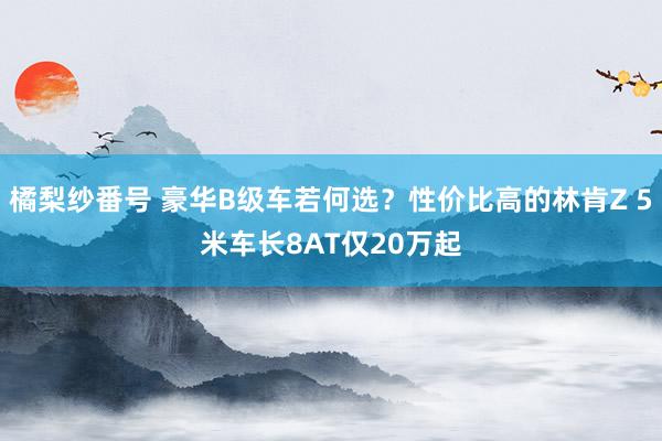 橘梨纱番号 豪华B级车若何选？性价比高的林肯Z 5米车长8AT仅20万起