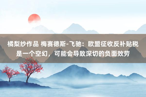 橘梨纱作品 梅赛德斯-飞驰：欧盟征收反补贴税是一个空幻，可能会导致深切的负面效劳