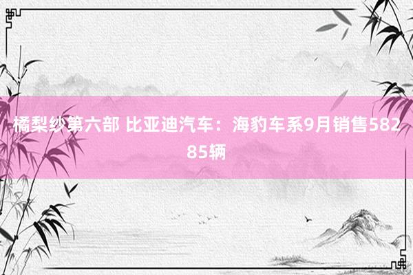 橘梨纱第六部 比亚迪汽车：海豹车系9月销售58285辆