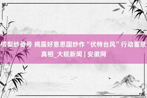 橘梨纱番号 揭露好意思国炒作“伏特台风”行动蓄意真相_大皖新闻 | 安徽网