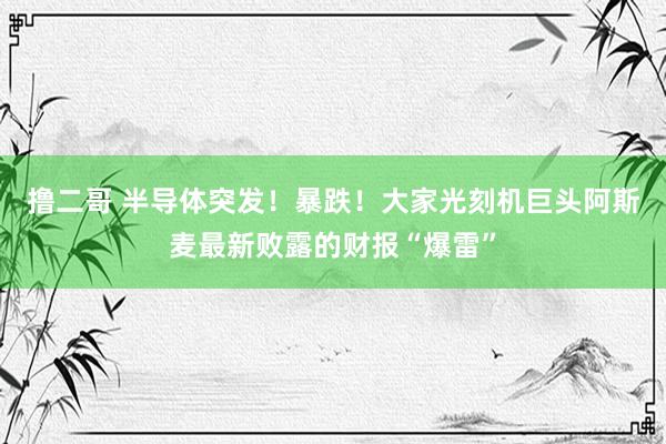 撸二哥 半导体突发！暴跌！大家光刻机巨头阿斯麦最新败露的财报“爆雷”