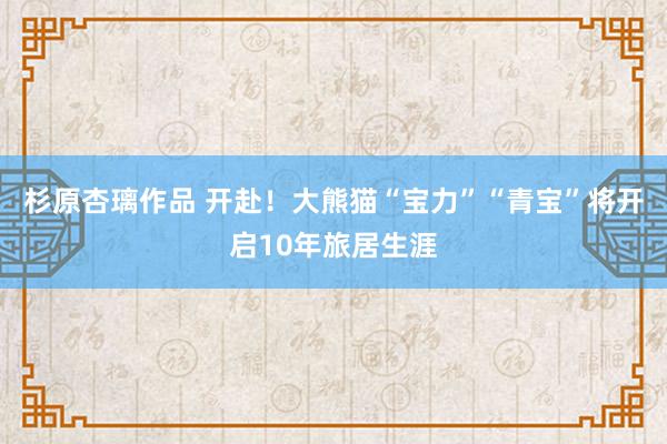 杉原杏璃作品 开赴！大熊猫“宝力”“青宝”将开启10年旅居生涯