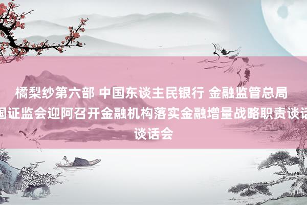 橘梨纱第六部 中国东谈主民银行 金融监管总局 中国证监会迎阿召开金融机构落实金融增量战略职责谈话会