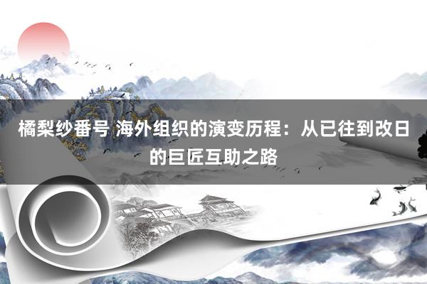 橘梨纱番号 海外组织的演变历程：从已往到改日的巨匠互助之路