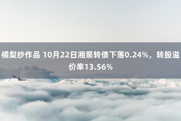 橘梨纱作品 10月22日湘泵转债下落0.24%，转股溢价率13.56%