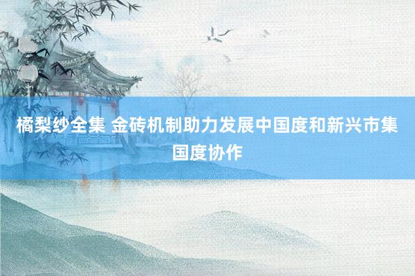 橘梨纱全集 金砖机制助力发展中国度和新兴市集国度协作