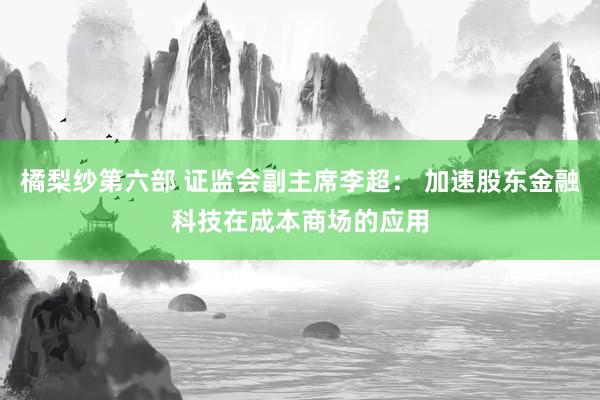 橘梨纱第六部 证监会副主席李超： 加速股东金融科技在成本商场的应用