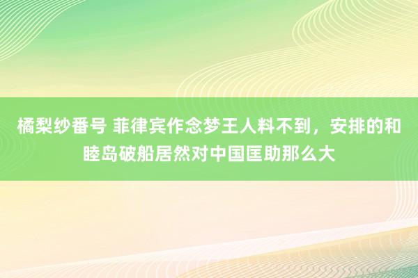 橘梨纱番号 菲律宾作念梦王人料不到，安排的和睦岛破船居然对中国匡助那么大