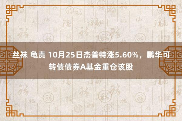 丝袜 龟责 10月25日杰普特涨5.60%，鹏华可转债债券A基金重仓该股