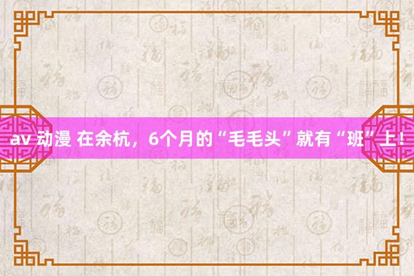 av 动漫 在余杭，6个月的“毛毛头”就有“班”上！