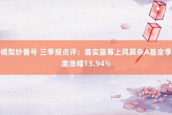 橘梨纱番号 三季报点评：嘉实蓝筹上风羼杂A基金季度涨幅13.94%