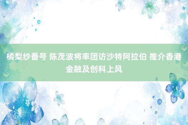 橘梨纱番号 陈茂波将率团访沙特阿拉伯 推介香港金融及创科上风