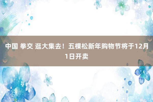 中国 拳交 逛大集去！五棵松新年购物节将于12月1日开卖