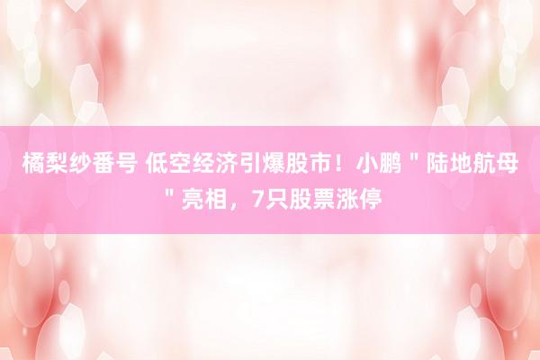 橘梨纱番号 低空经济引爆股市！小鹏＂陆地航母＂亮相，7只股票涨停