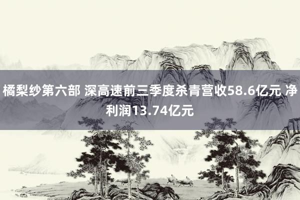 橘梨纱第六部 深高速前三季度杀青营收58.6亿元 净利润13.74亿元