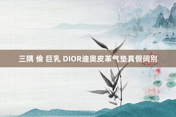 三隅 倫 巨乳 DIOR迪奥皮革气垫真假阔别